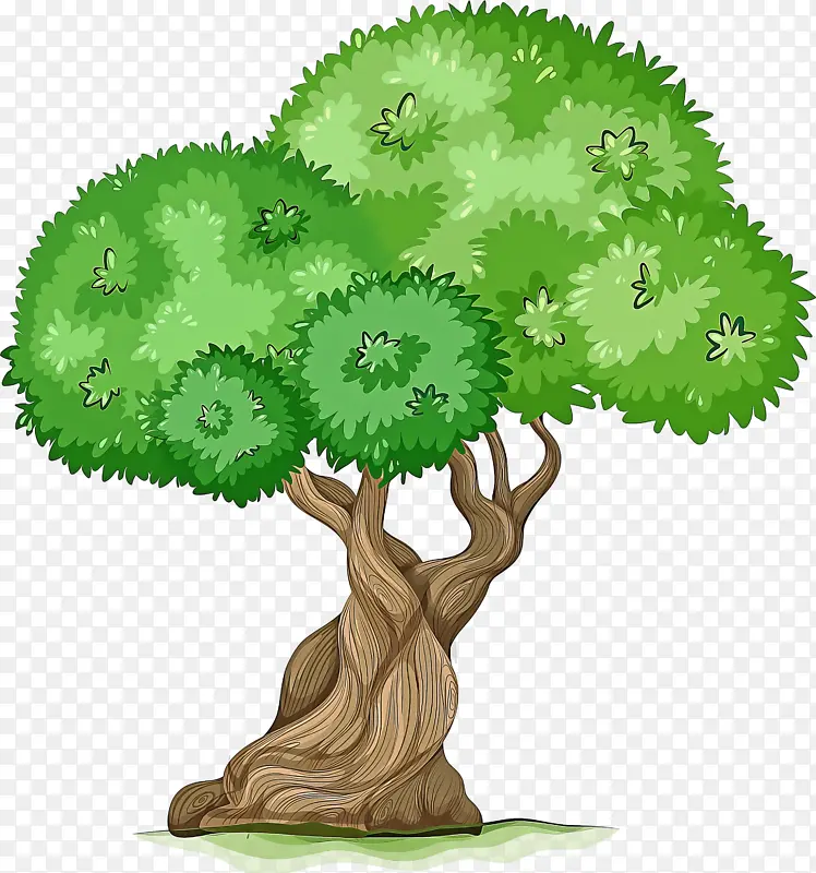 树 绿色 植物