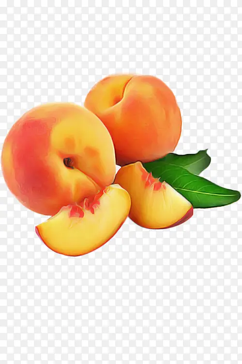 水果 食品 橙子