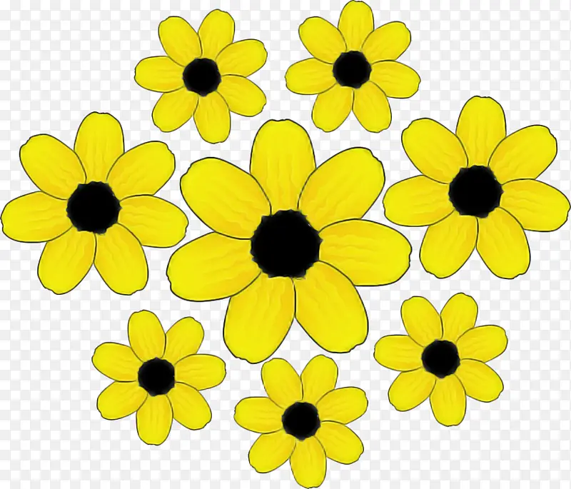 黄色 花瓣 花