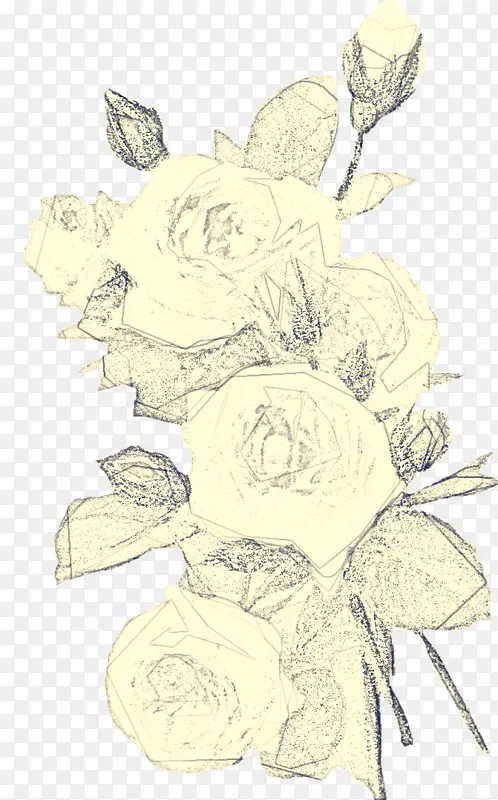 白色 花朵 切花
