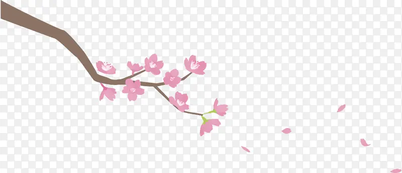 粉色 樱花 树枝
