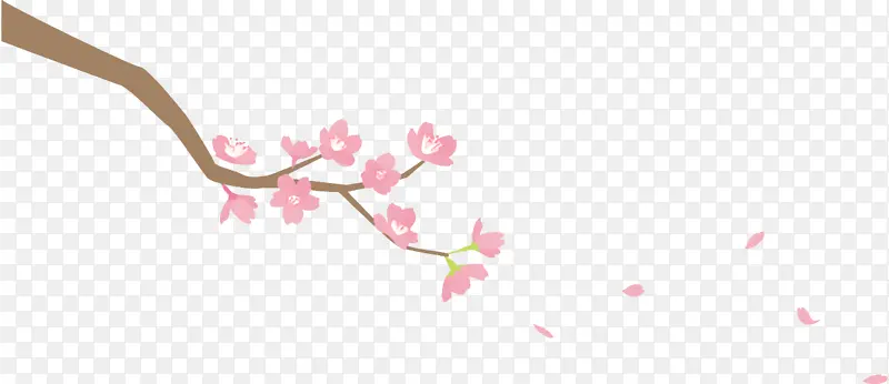 树枝 粉色 花朵