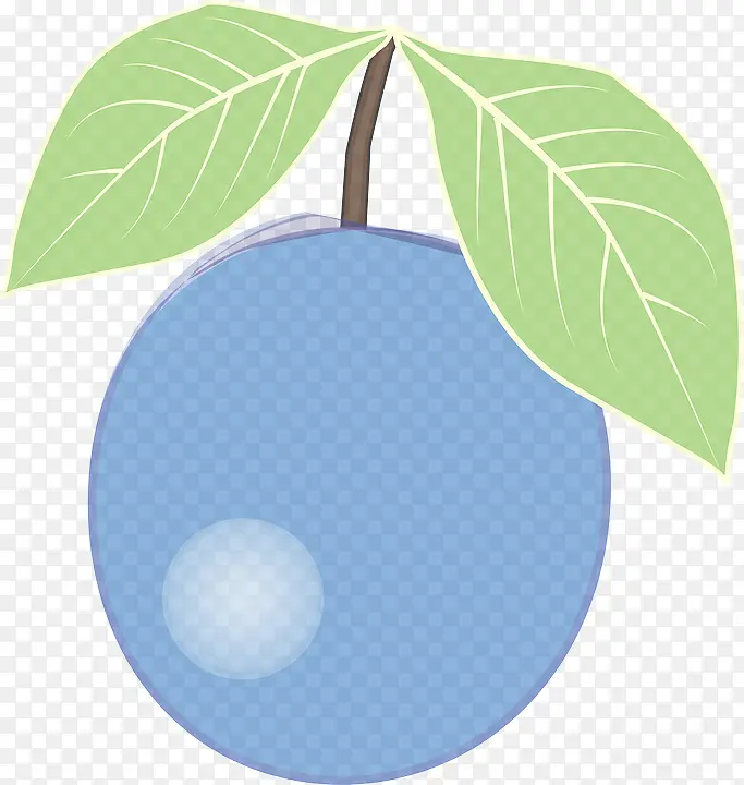叶子 绿色 植物