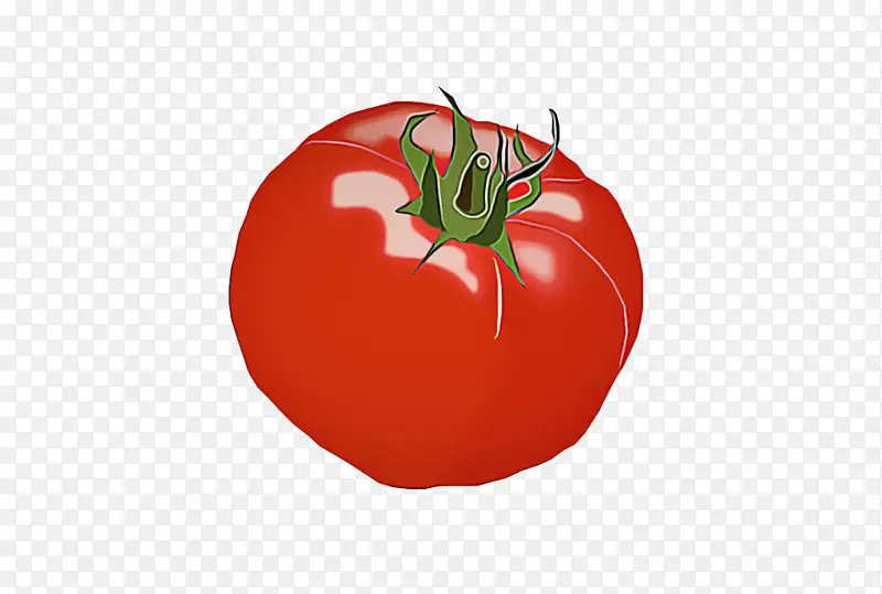 天然食品 红色 番茄