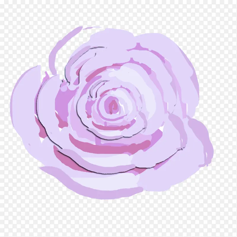 粉红 紫色 紫罗兰