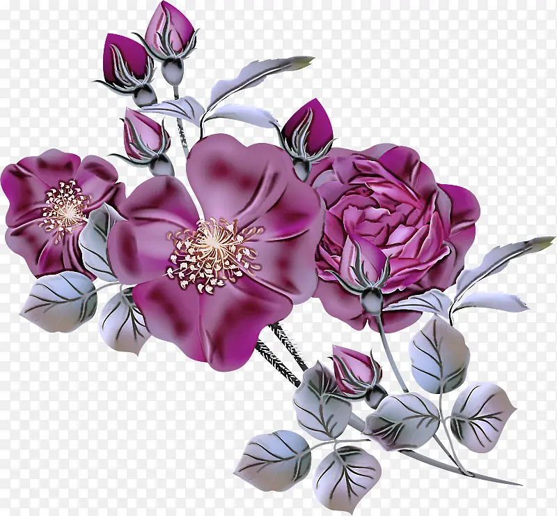 花朵 紫色 切花