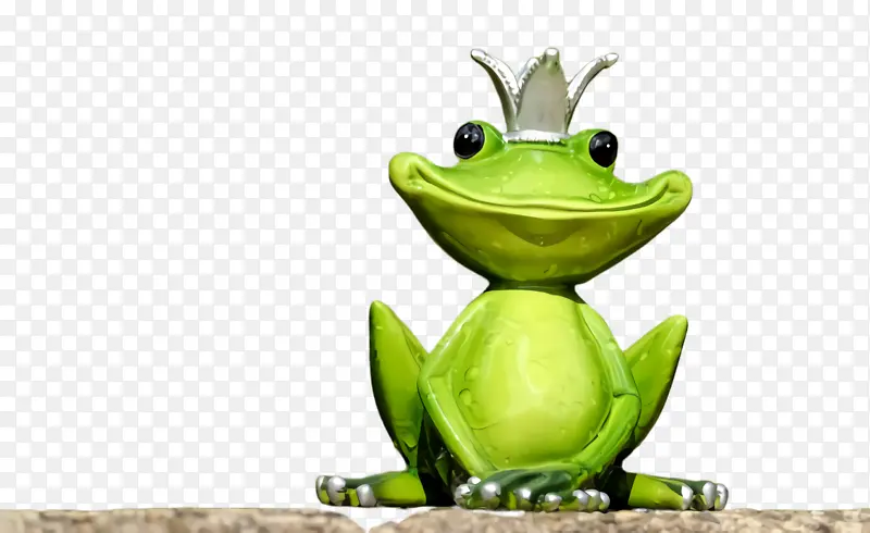 青蛙 绿色 树蛙