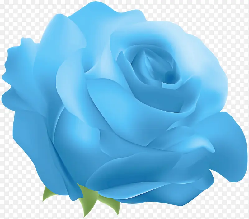 玫瑰 蓝色 蓝色玫瑰