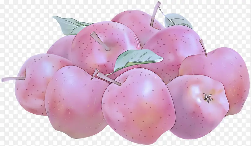 粉色 水果 植物