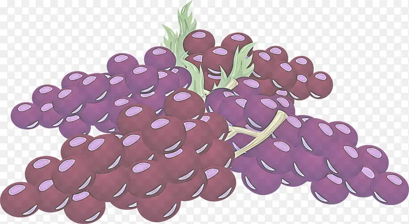葡萄 紫色 紫罗兰
