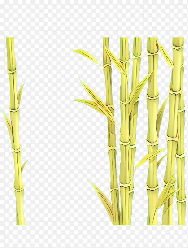 卡通 竹子 植物茎