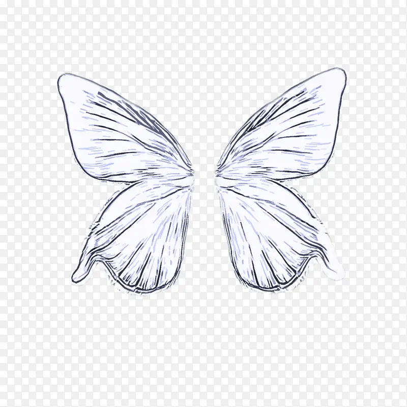 蝴蝶 翅膀 飞蛾和蝴蝶