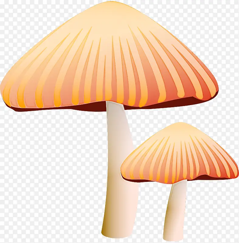 蘑菇 橙色 黄色
