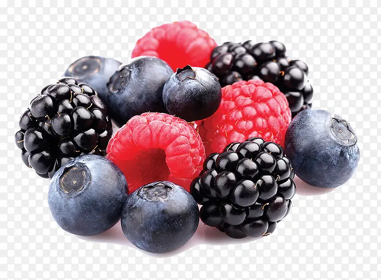 浆果 水果 黑莓