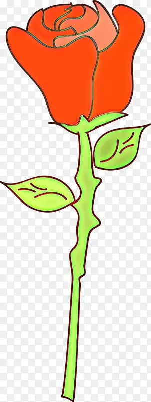 卡通 植物茎 植物