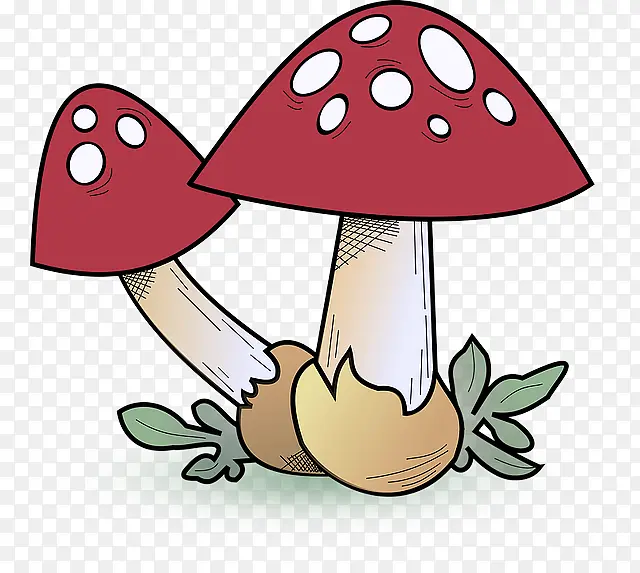 蘑菇 卡通 木耳
