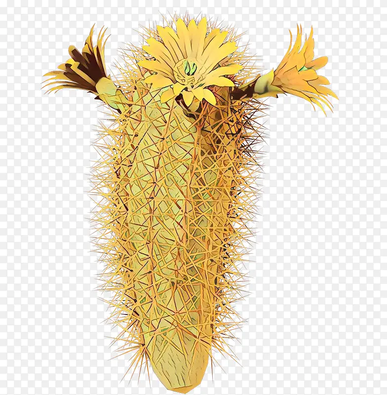 卡通 仙人掌 花