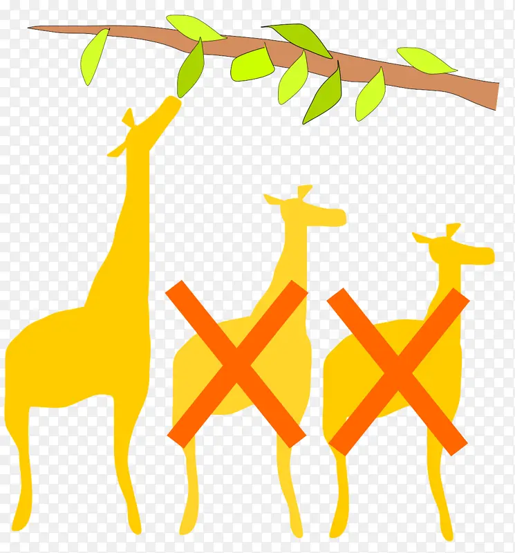 长颈鹿 长颈鹿科 黄色