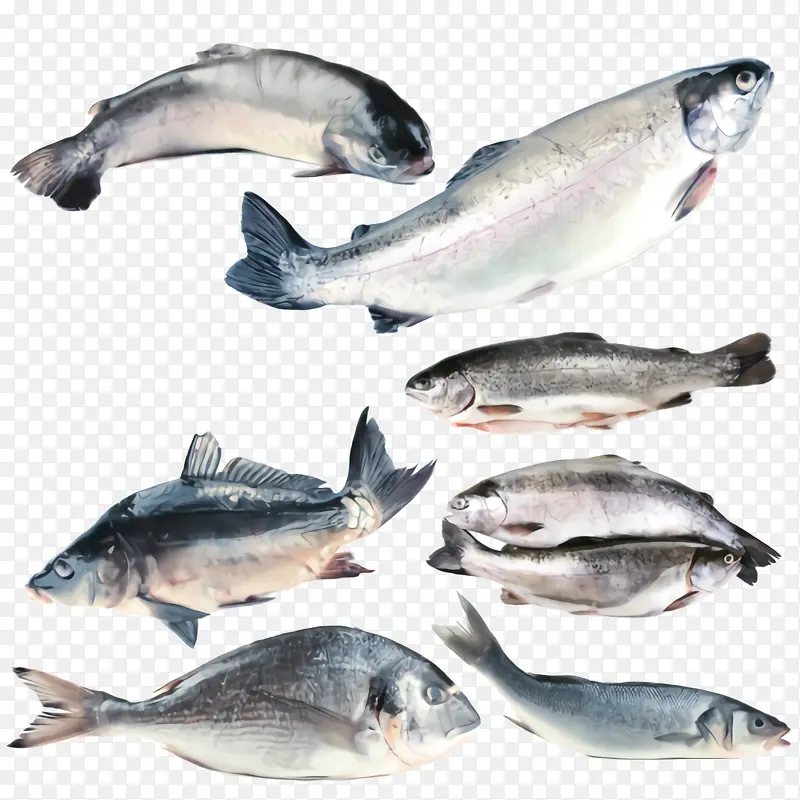采购产品鱼 鱼产品 油性鱼