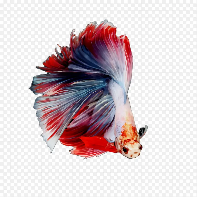 水彩 油漆 湿墨水