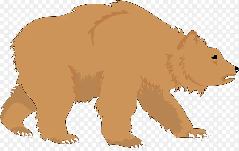 熊 棕熊 灰熊