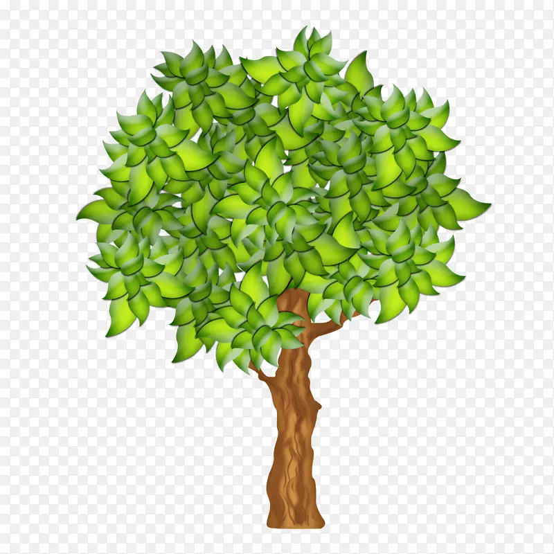绿色 植物 树