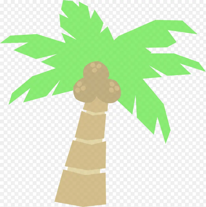 树木 绿色 棕榈树