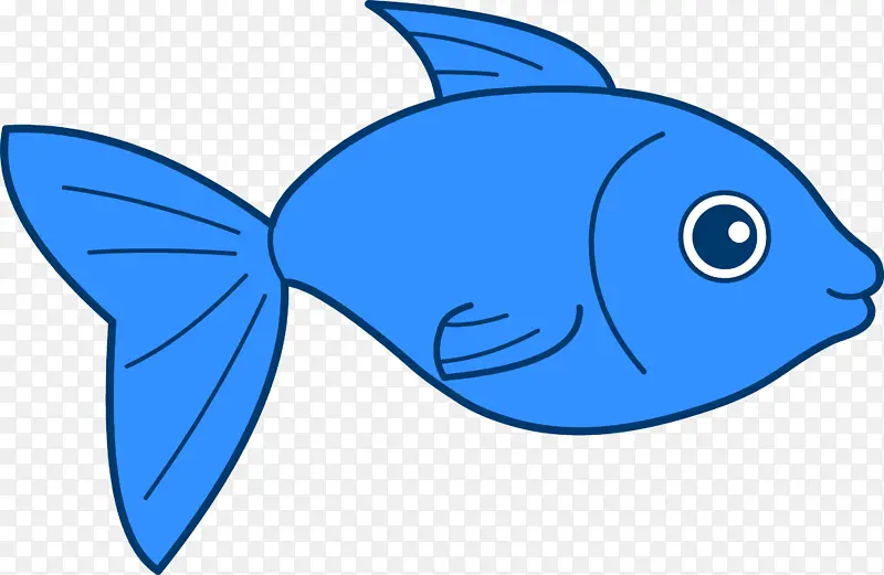 鱼 蓝色 鳍