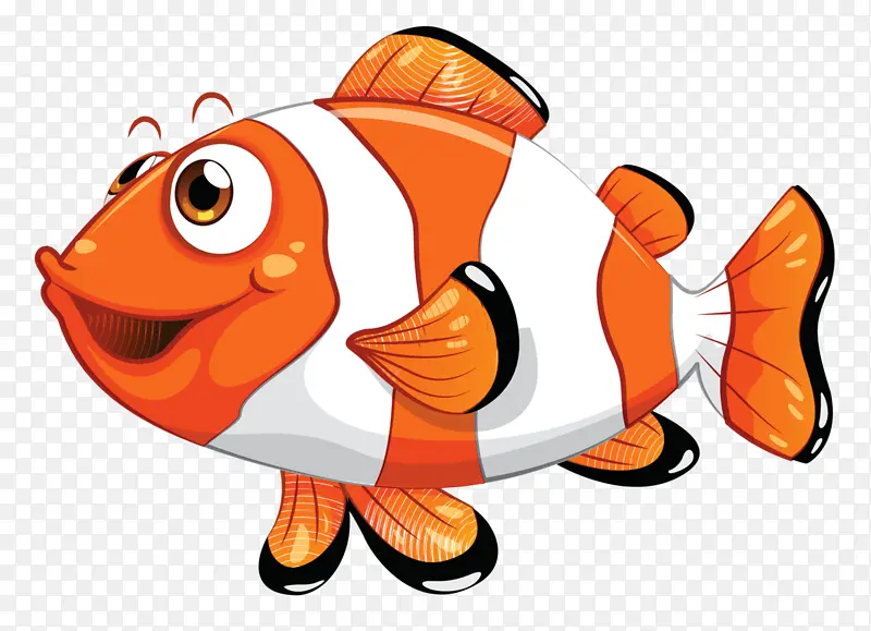 海葵鱼 小丑鱼 鱼