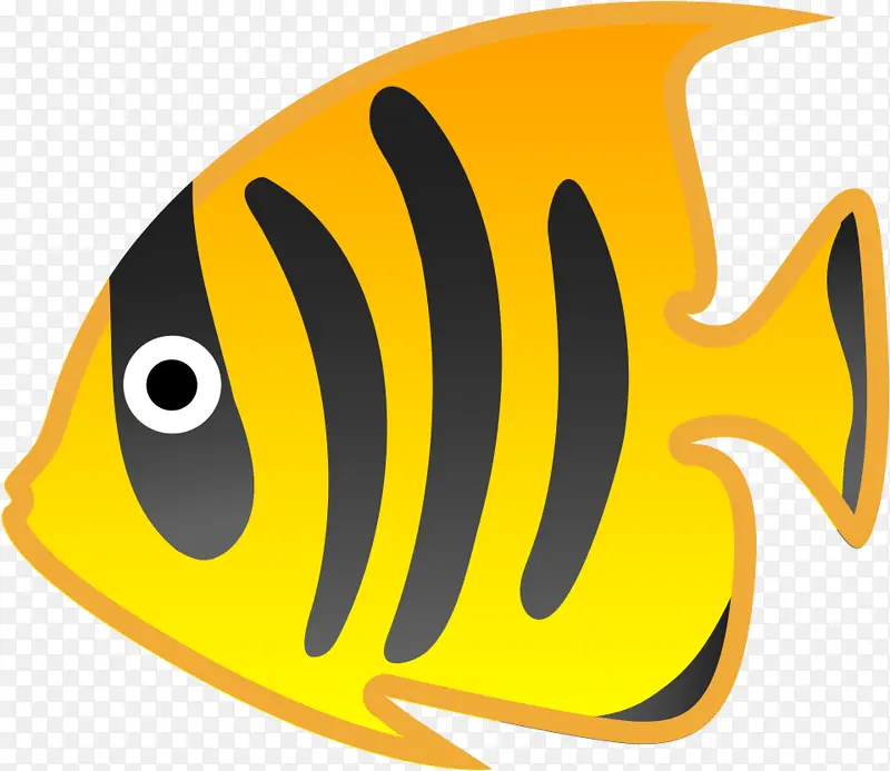 鱼 鲳鱼科 黄色