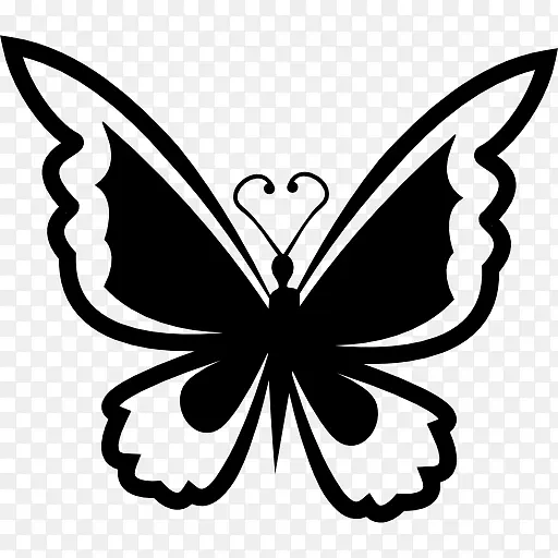 蝴蝶 飞蛾和蝴蝶 黑白