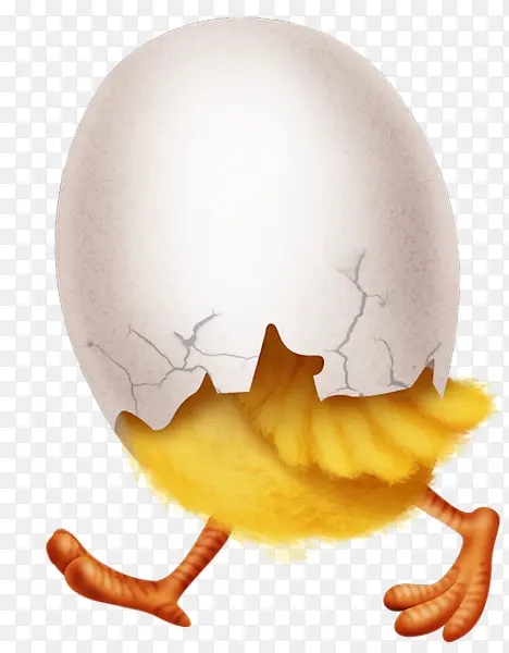 鸡蛋 黄色 蛋清