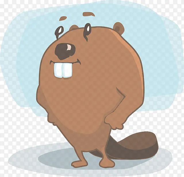 卡通 棕熊 灰熊