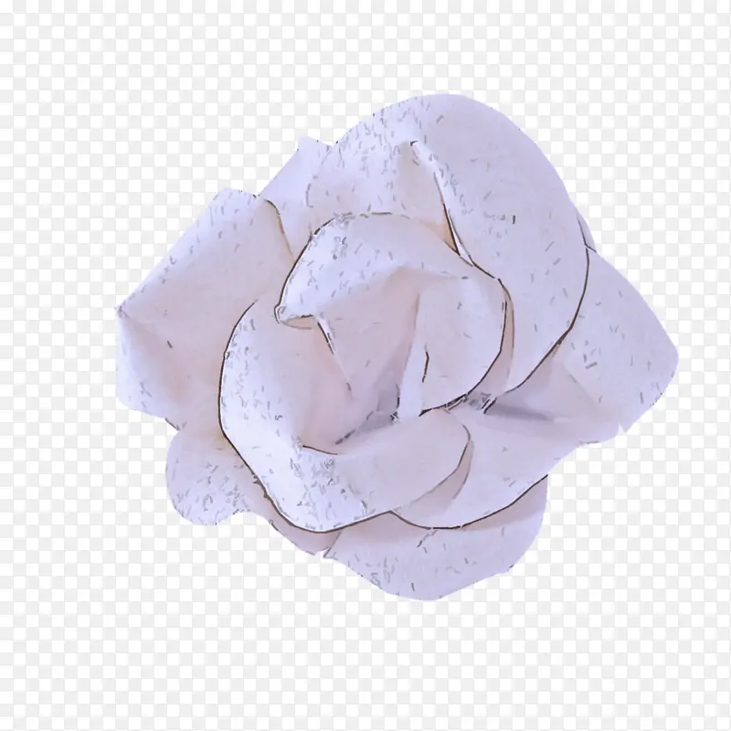 花瓣 粉色 玫瑰