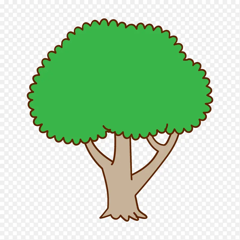 绿色 树木 植物
