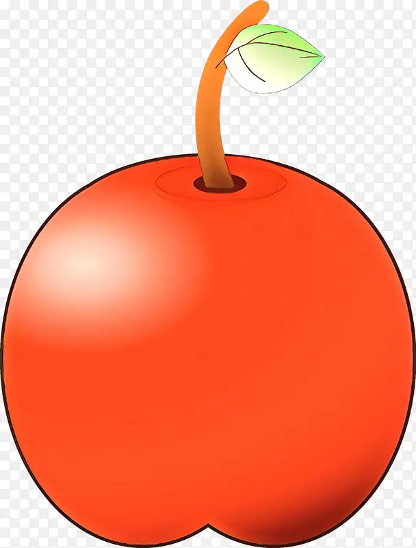 卡通 橘子 水果