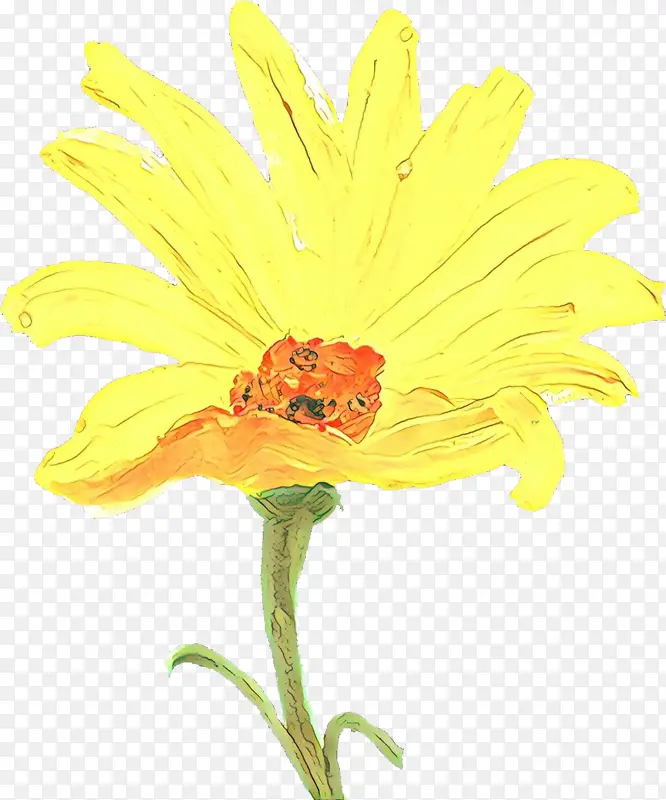 卡通 花卉 黄色