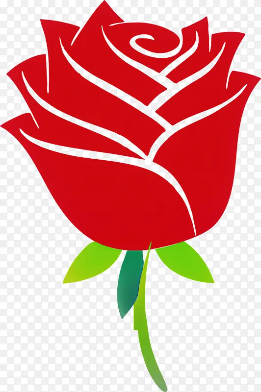 玫瑰 红色 花园玫瑰