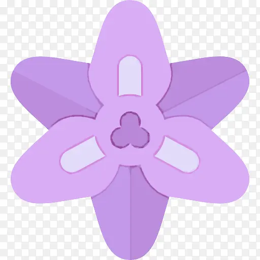 紫色 花瓣 粉色