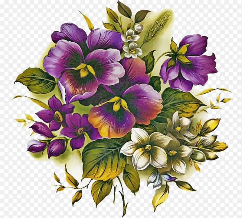 花 开花植物 紫罗兰