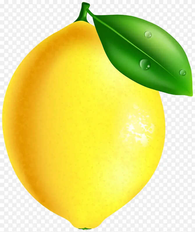 采购产品黄色 水果 梨