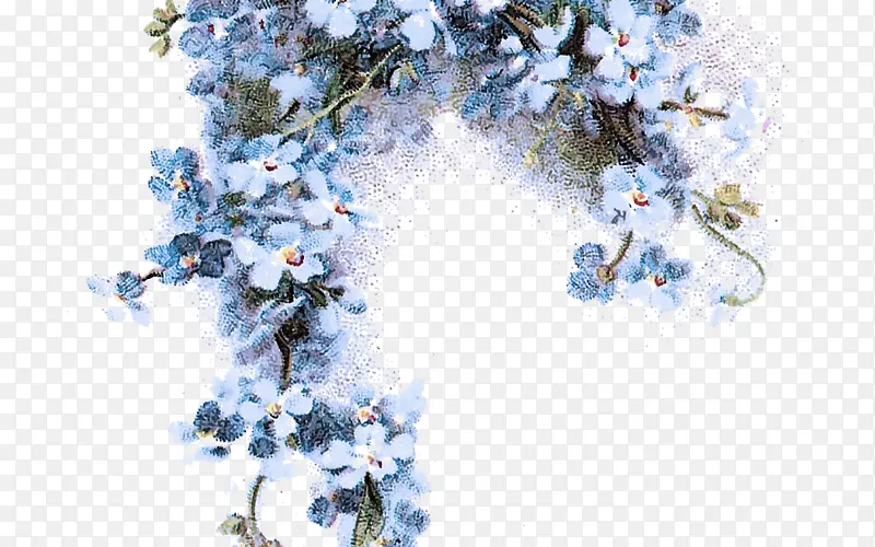 蓝色 树 植物