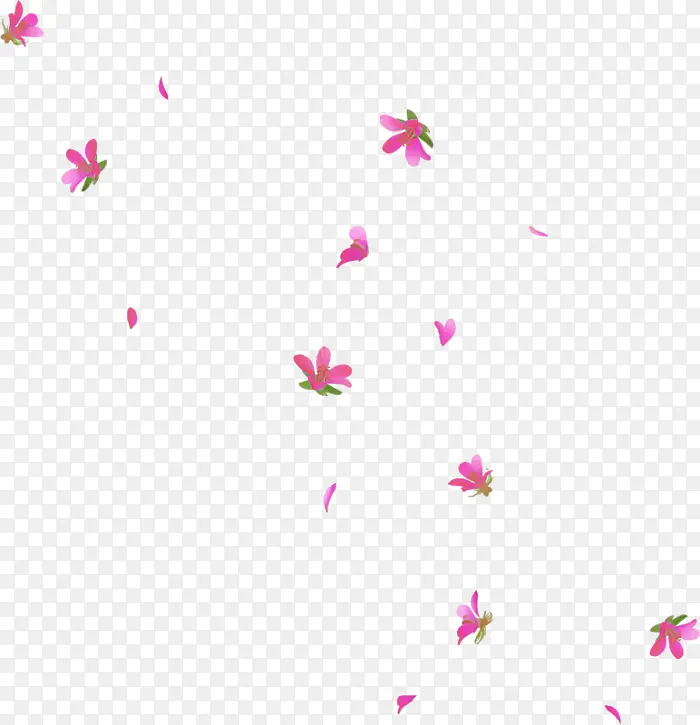 粉色 花瓣 文字