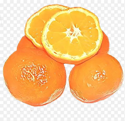 卡通 柑橘 食品