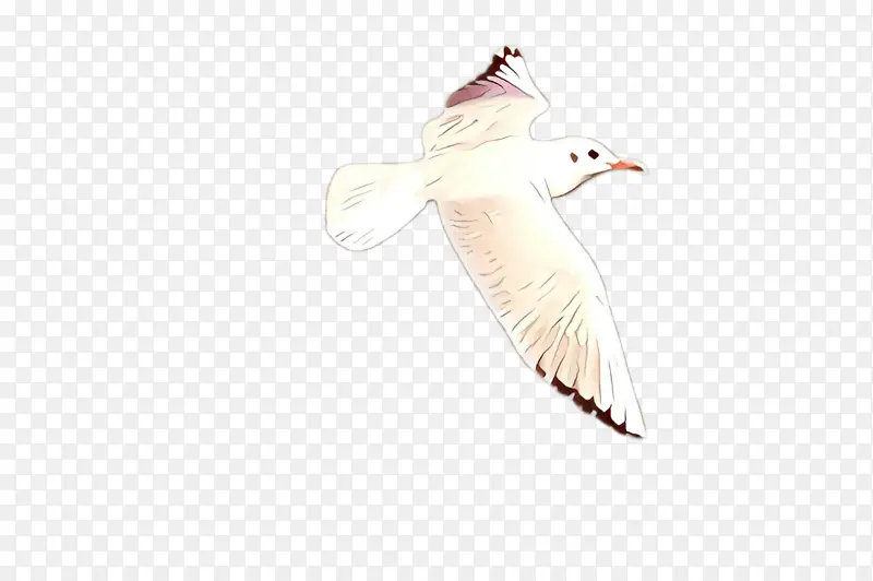 卡通 翅膀 鸟