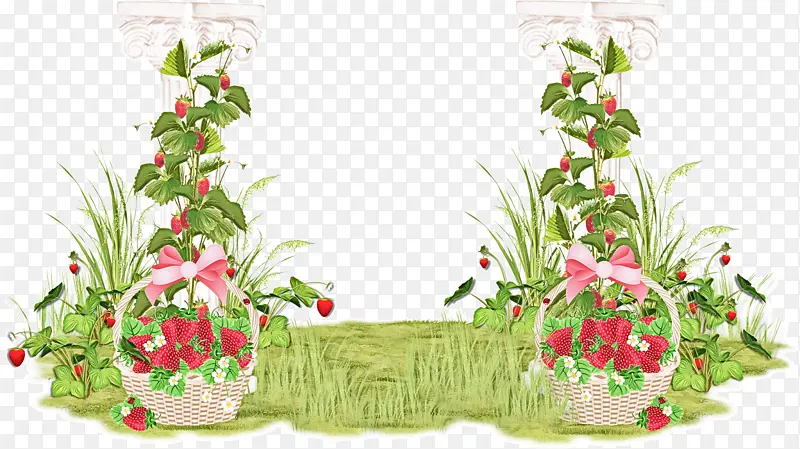 植物 花卉 花卉设计
