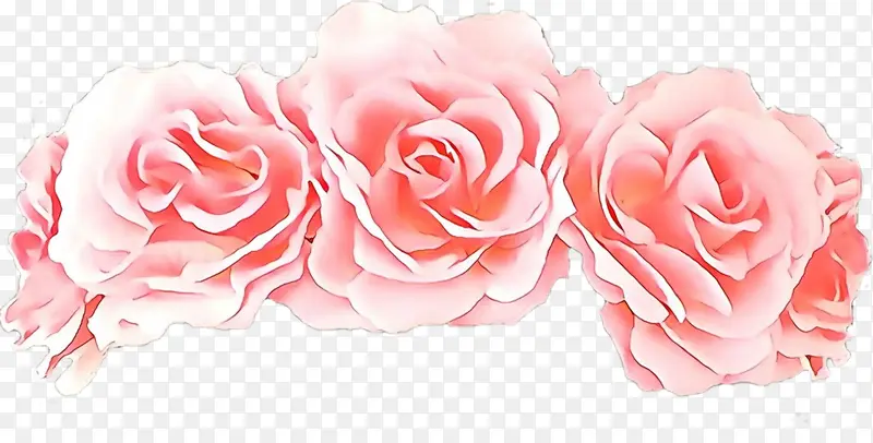 卡通 花园玫瑰 粉色