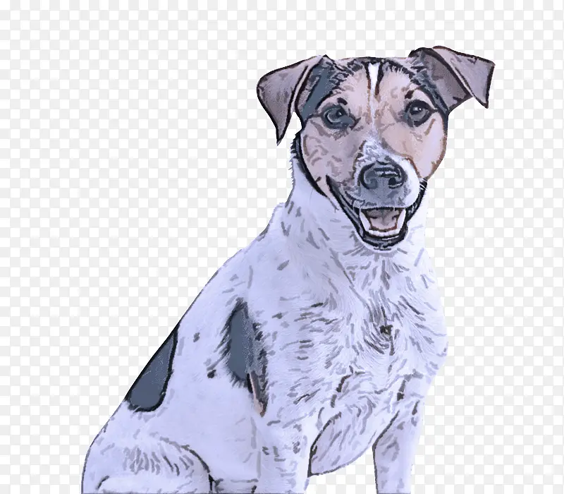 狗 狗品种 绘画