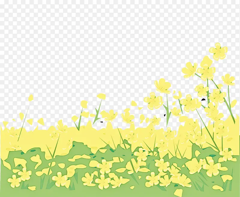 黄色 植物 花朵