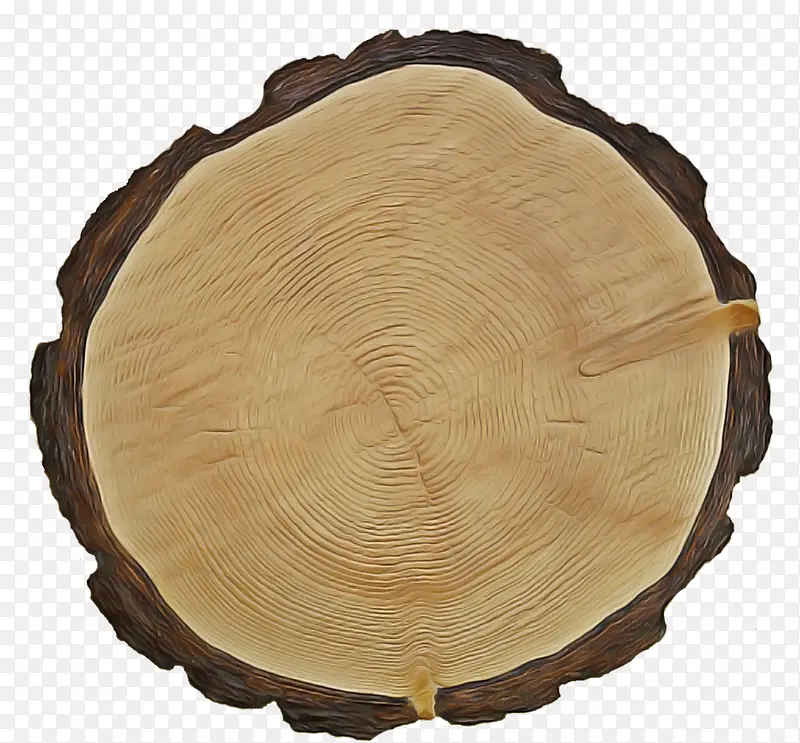 木头 树 树干